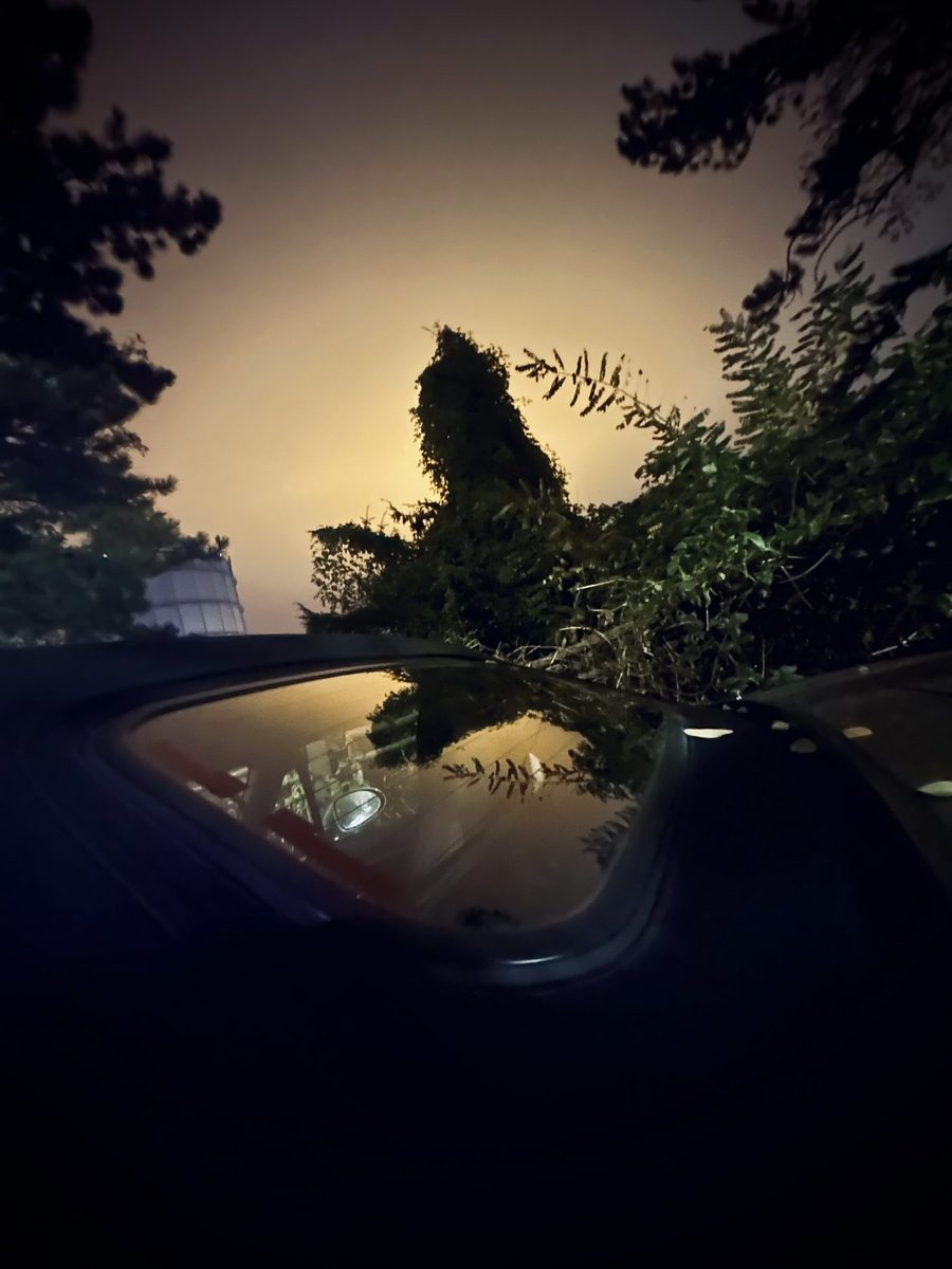 Autodach mit Spiegelung der Bäume vor nebligem Nachthimmel
