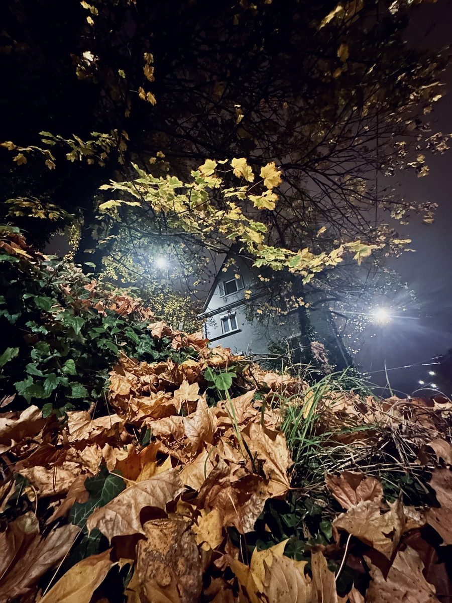 Herbstlaub im Vordergrund, dahinter ein Haus unter Straßenlaternen im Nebel